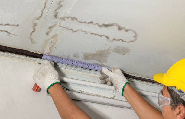 Reliable Water Damage contractor in Morristown, NJ by Water Damage Irwin